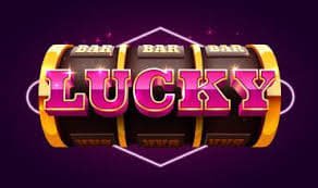 120 bet 120 bet